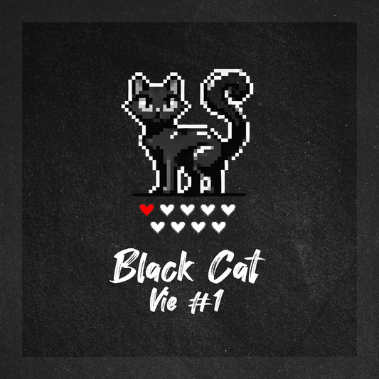 [Fr] Black Cat - Vie #1